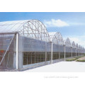 Multi Span Steel Structure Greenhouse/Galvanized Steel Structure Greenhouses
